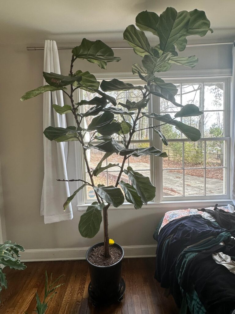 Give me all your advice!
