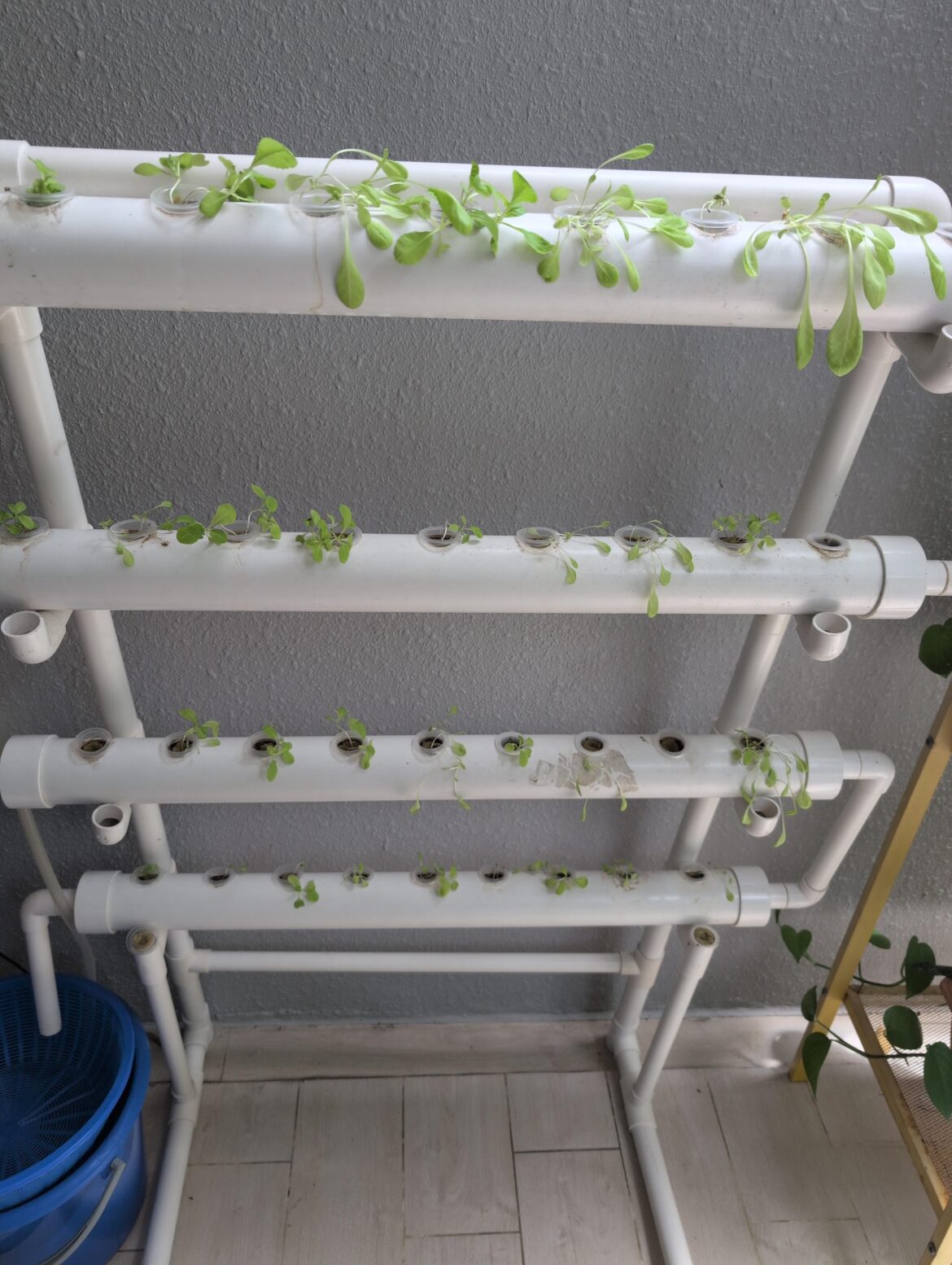 What's the issue? Noob here