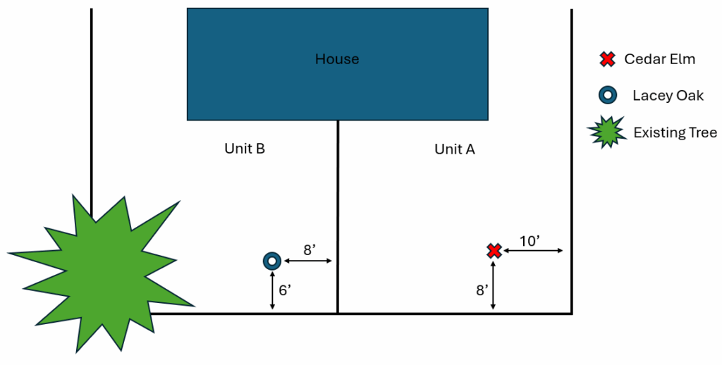 Duplex Tree Placement