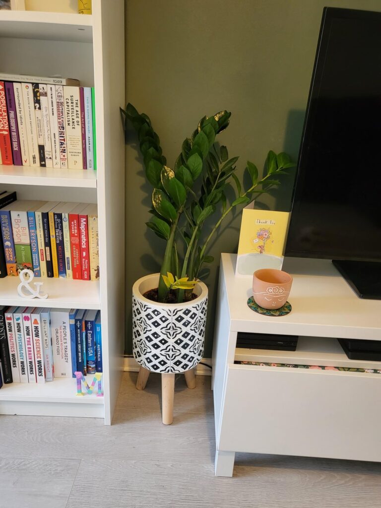 Help! I moved house a few months ago and i’m worried im killing my plant! Help! I moved house a few months ago and i'm worried im killing my plant!