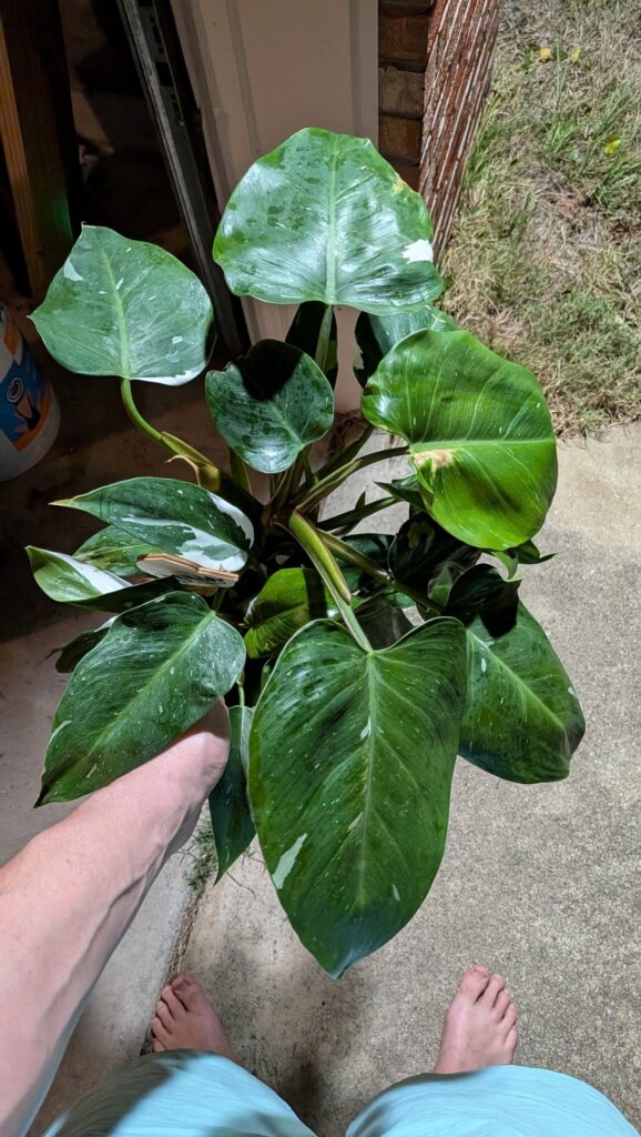 For people who loose their shit over nothing