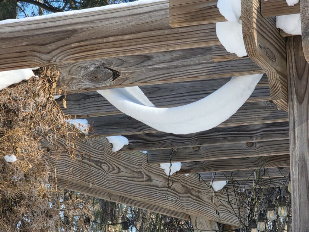A snow arch formed during a winter storm on my pergola. Two days later it is dropping a little. Will be interesting to to see how long it will last.