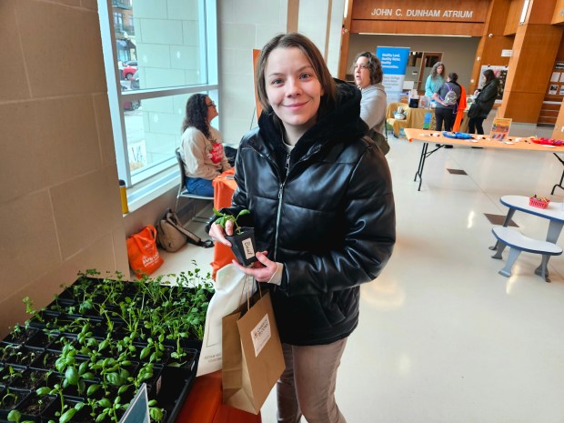 Aurora resident Kallie Pifko looks for native plants Saturday, Jan. 31, 2026, during the annual Seed Swap event at the Santori Public Library in downtown Aurora. (David Sharos/For The Beacon-News)
