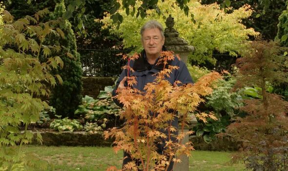 Alan Titchmarsh with Japanese maple trees Alan Titchmarsh with Japanese maple trees