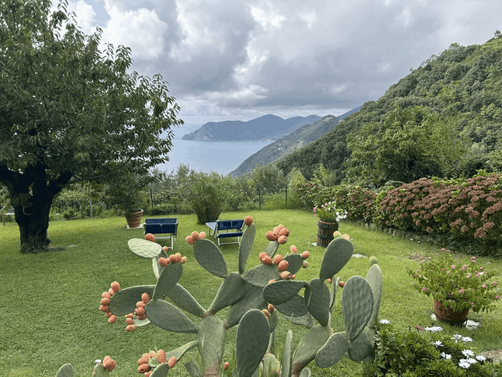 Amazing view from the yard