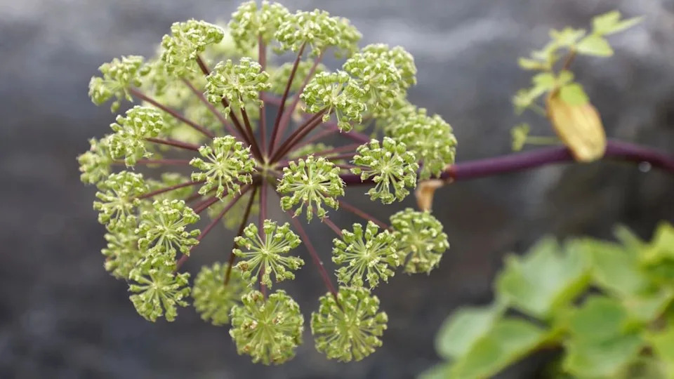 Image Credit: Deposit Photos