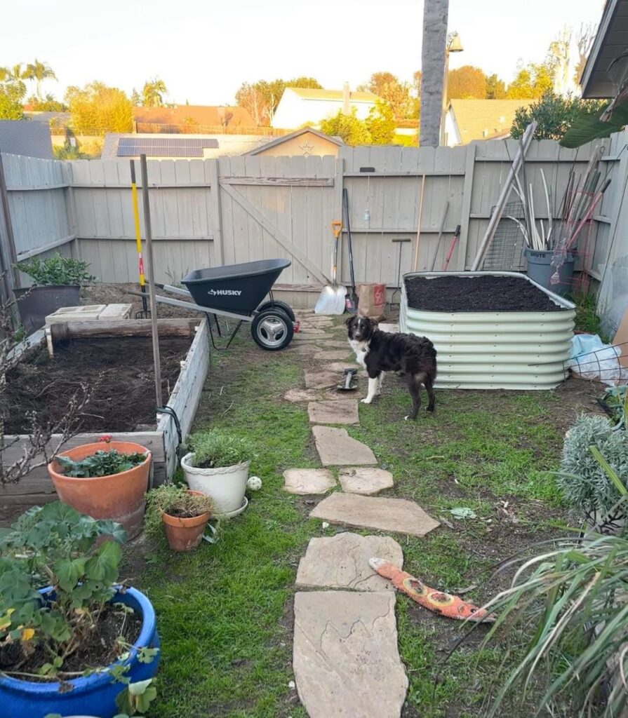 Big raised bed project start