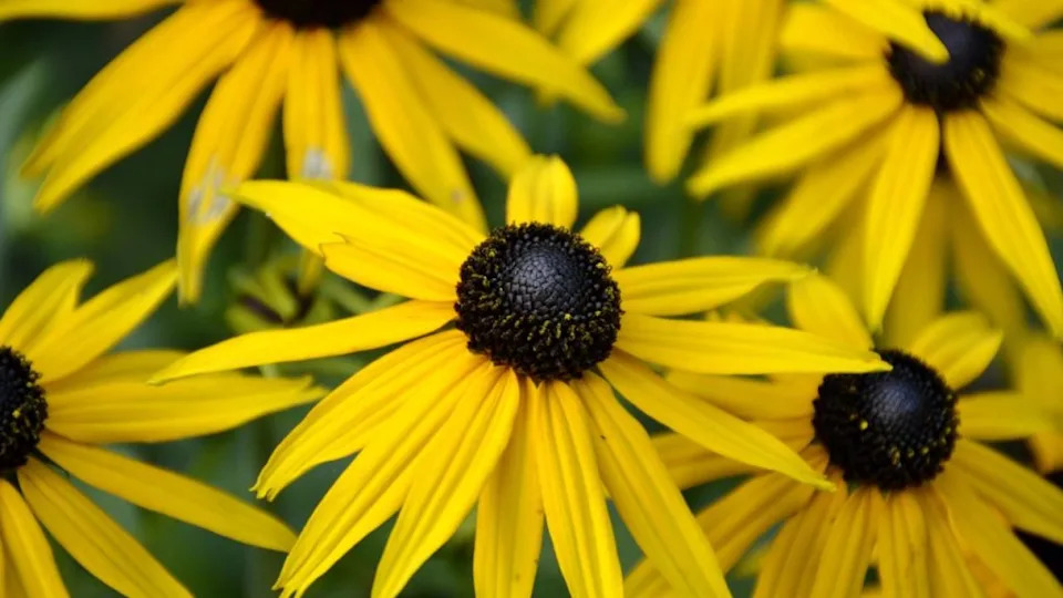 Image Credit: Deposit Photos