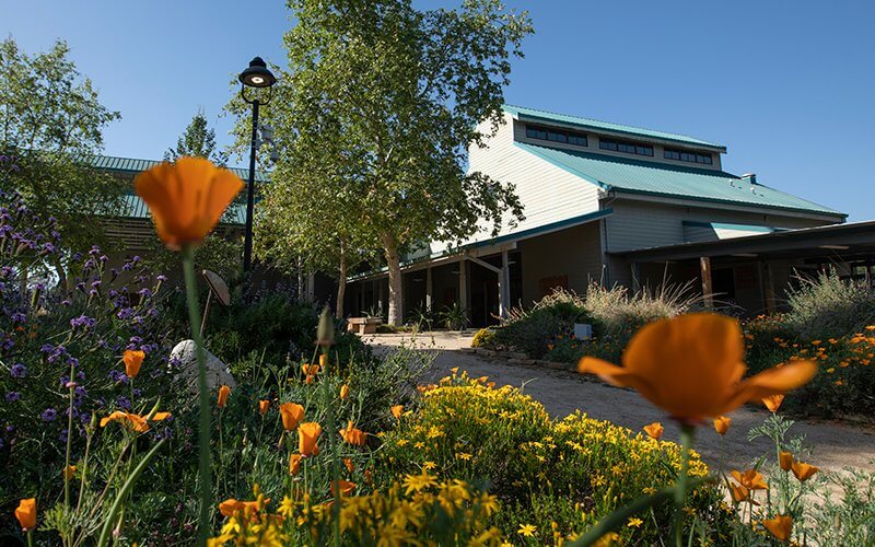 Cal State Fullerton’s Arboretum And Botanical Garden Receives $2.35 Million Gift Newswise: Cal State Fullerton’s Arboretum And Botanical Garden Receives $2.35 Million Gift