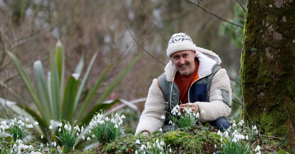Snowdrops arrive with impeccable timing to save us from winter desolation – The Irish Times Snowdrops arrive with impeccable timing to save us from winter desolation – The Irish Times
