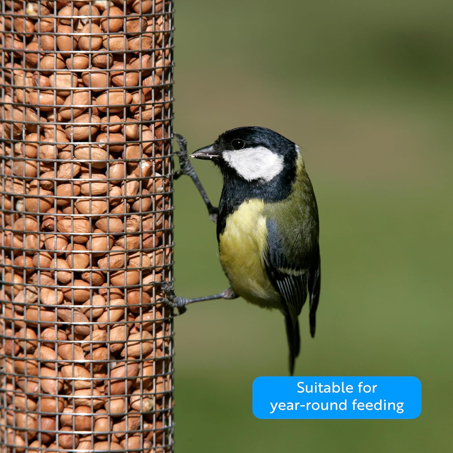 Rspb Premium Peanuts 900 Grams Wild Bird Food, Supporting Rspb Charity, Re-Sealable &amp; Recyclable Pouches, for Use in Garden &amp; Outdoors. Perfect for Feeders, Ground Feeders &amp; Bird Tables