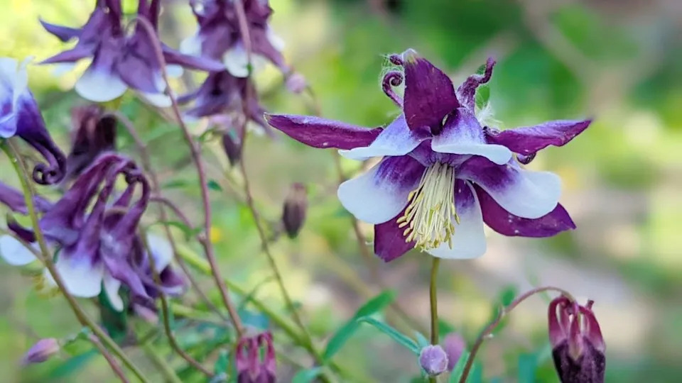 Image Credit: Deposit Photos