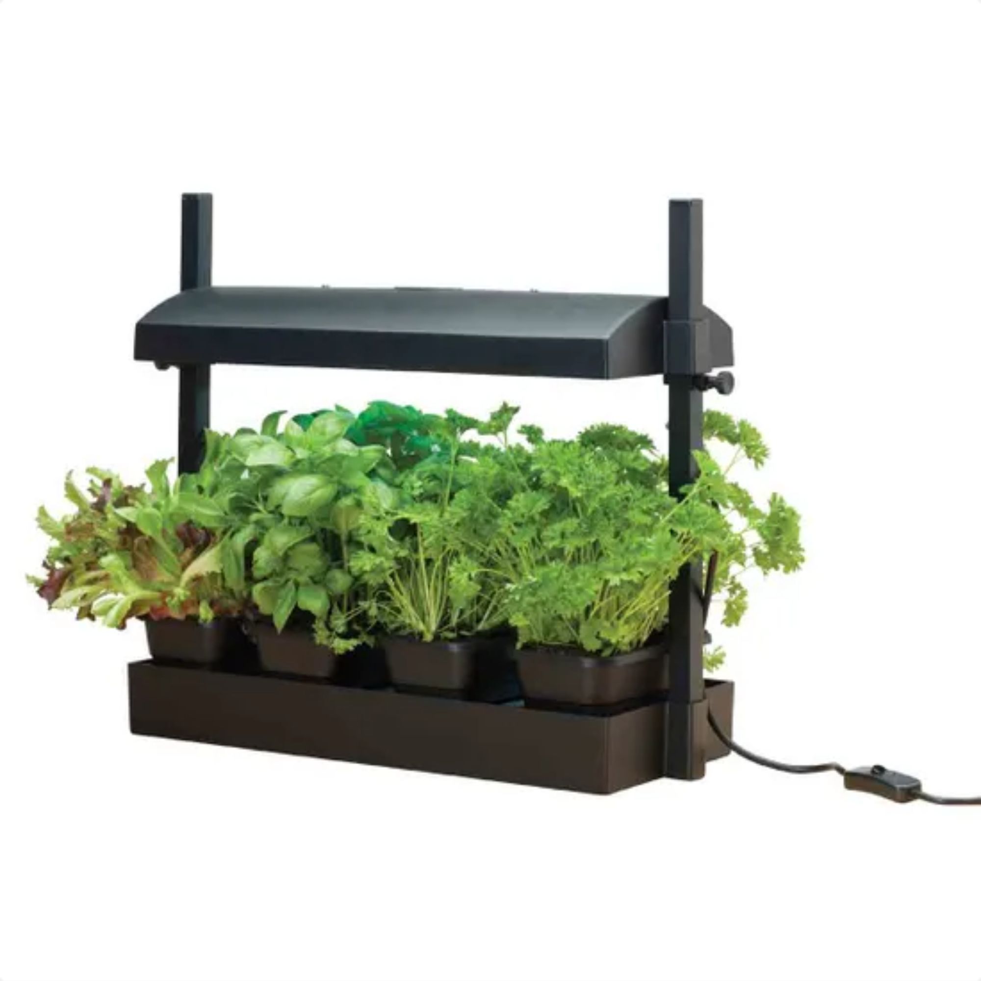 plant grow light Robert Dyas