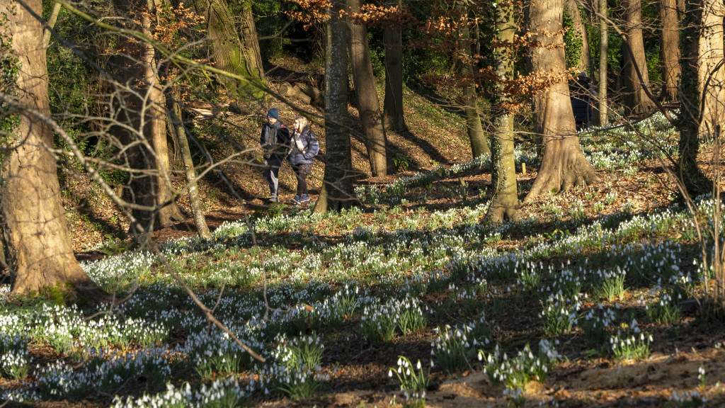 Rococo Garden set to shut early as snow warning hits Rococo Garden set to shut early as snow warning hits
