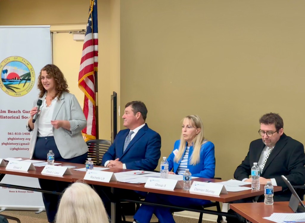 Heather Deitchman, Gardens city council