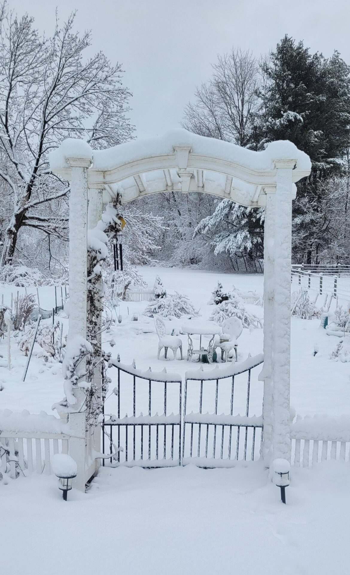 Don't worry, garden! Spring will be here soon...