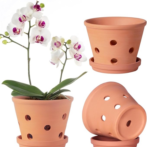 Amazon orchid pot