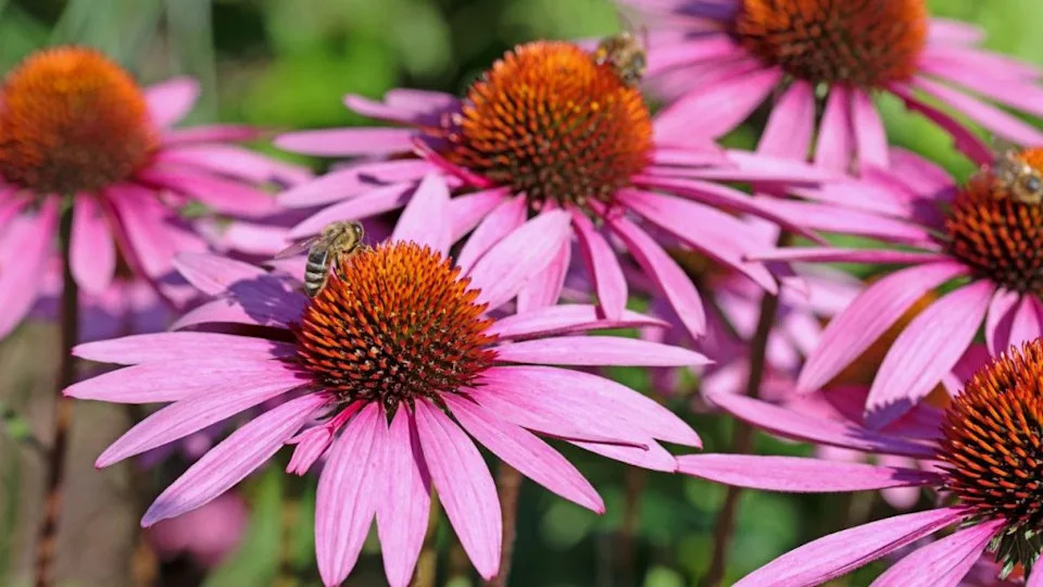 Image Credit: Deposit Photos