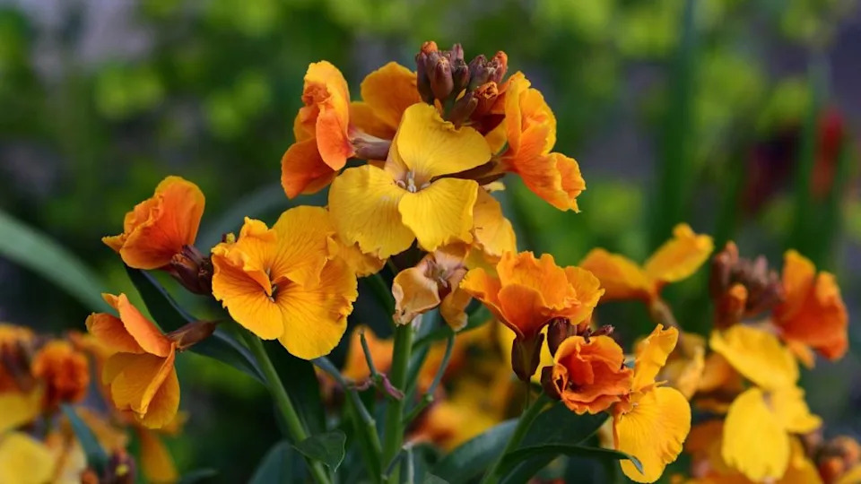 Image Credit: Deposit Photos