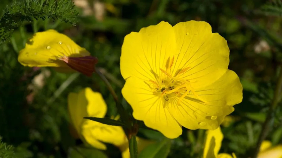 Image Credit: Deposit Photos