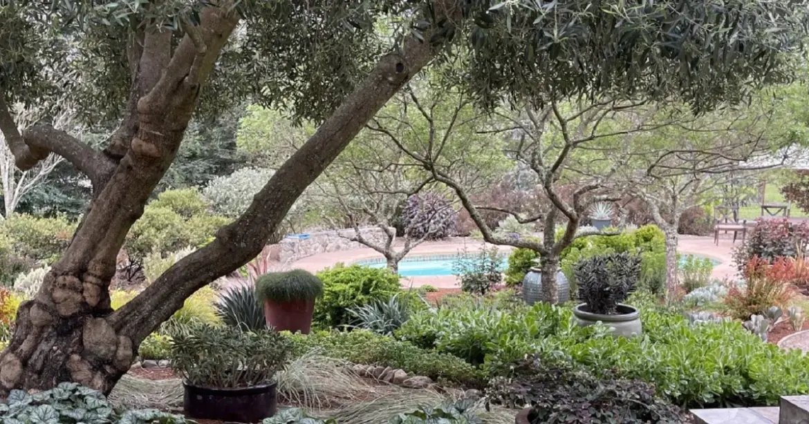 Extreme Weather and Gardening in the Age of Climate Change