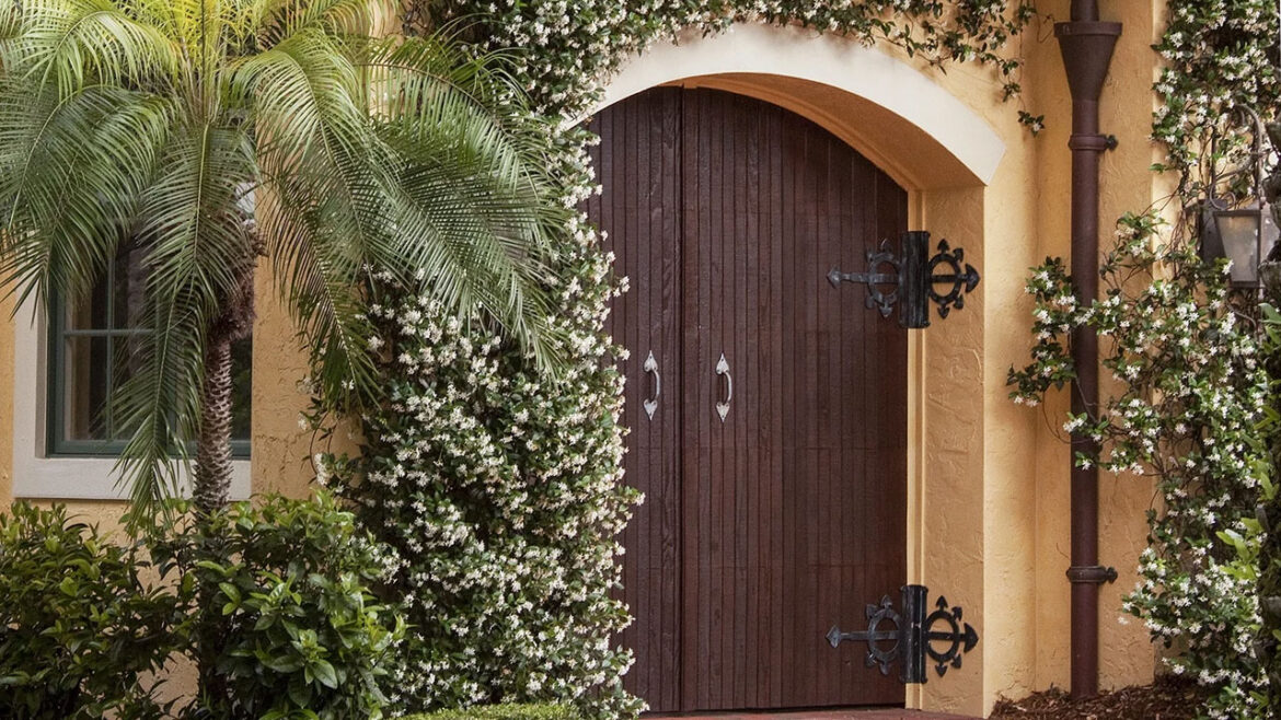 Sunday Garden: An Extension of the Green Drenching Trend