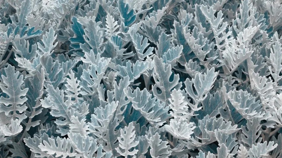 Image Credit: Deposit Photos