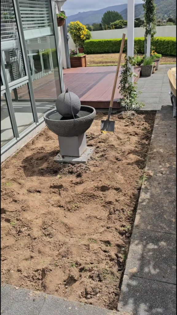 From dirt patch to garden: 100 days of progress