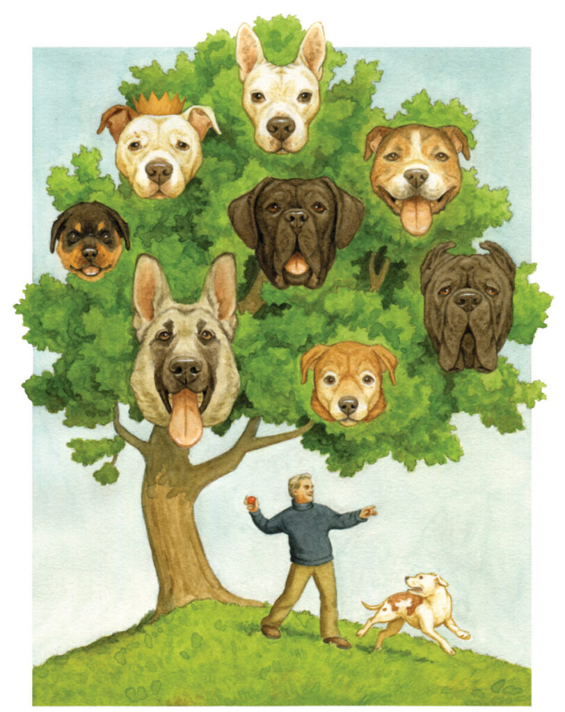 illustration of dogs in a tree