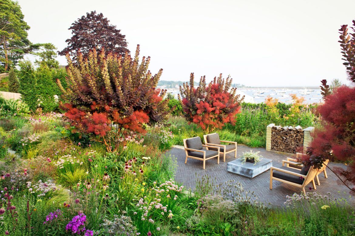 5 Common Landscaping Mistakes to Avoid When Redesigning Your Yard 5 Common Landscaping Mistakes to Avoid When Redesigning Your Yard