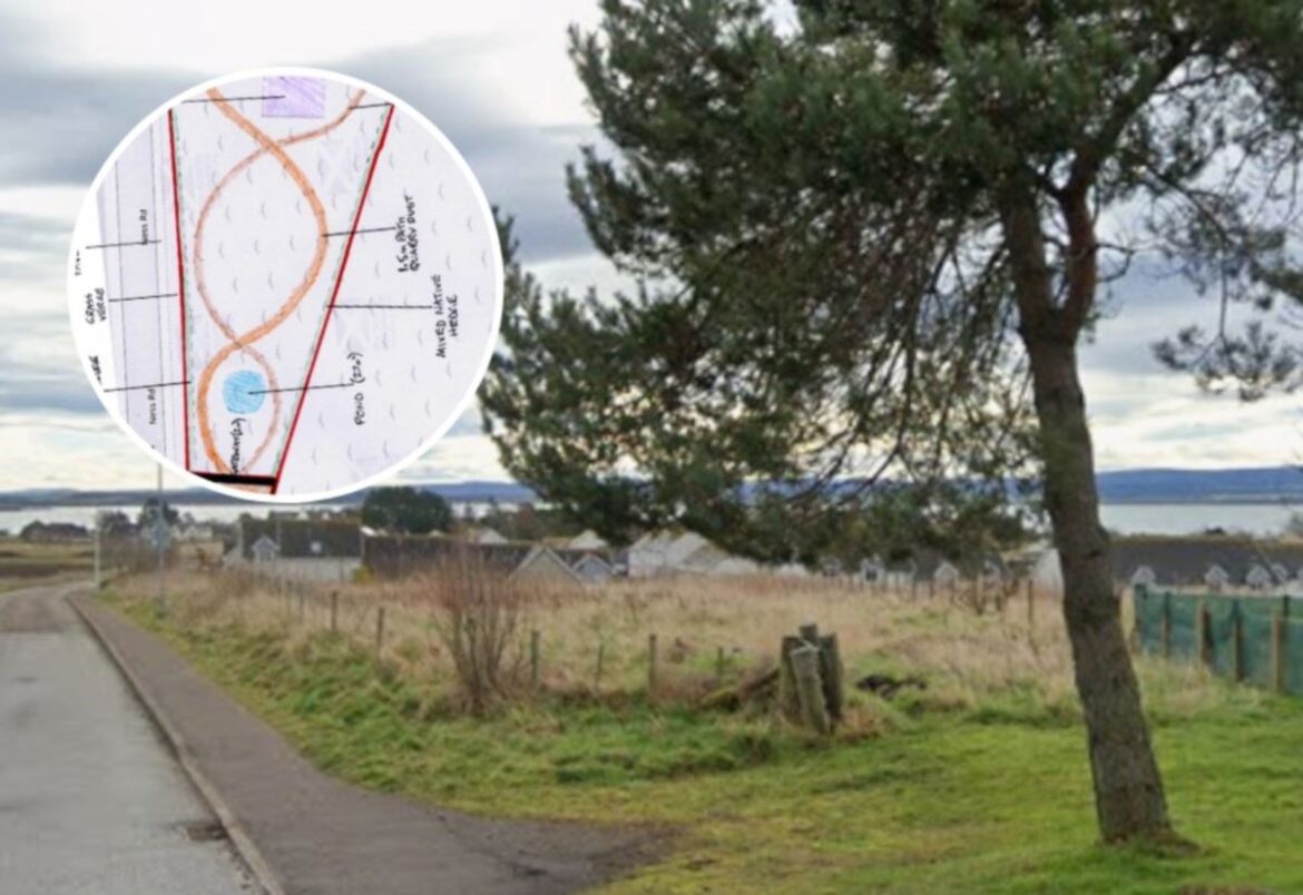 Highland Council approves plans for allotments and community garden on Black Isle site on outskirts of Fortrose with ‘stunning’ views of the Moray Firth