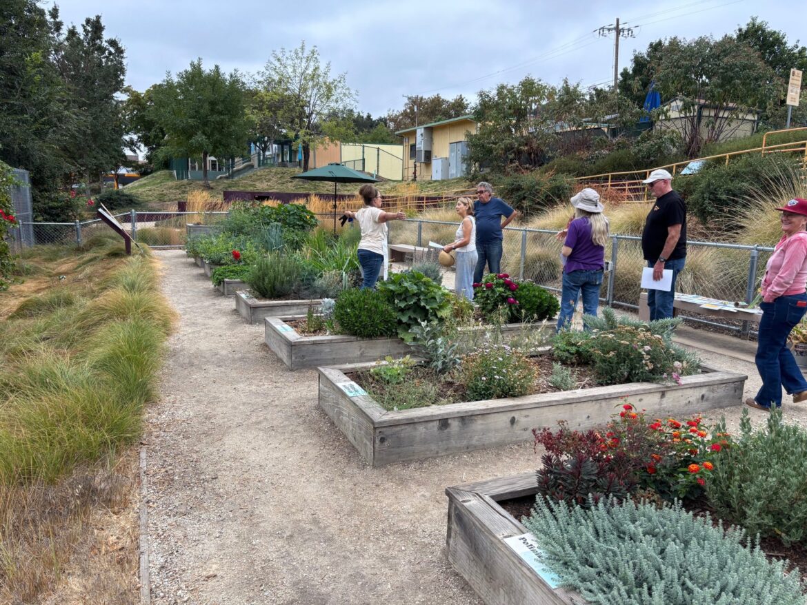 Paso Robles Recreation volunteers to host free February Garden Workshop