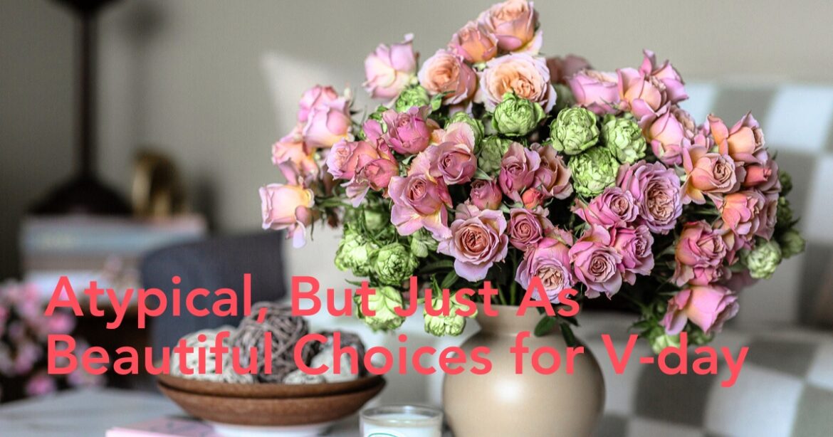 Garden roses by Alexandra Farms