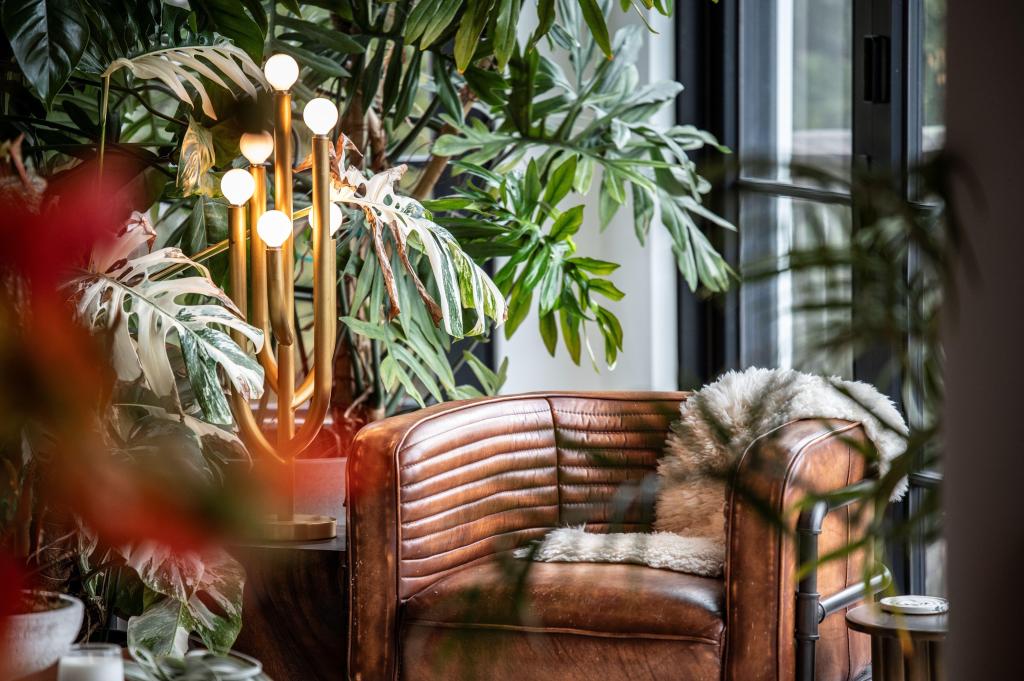 No garden space? Create a calming ‘nature nook’ with indoor plants – Orange County Register No garden space? Create a calming ‘nature nook’ with indoor plants – Orange County Register