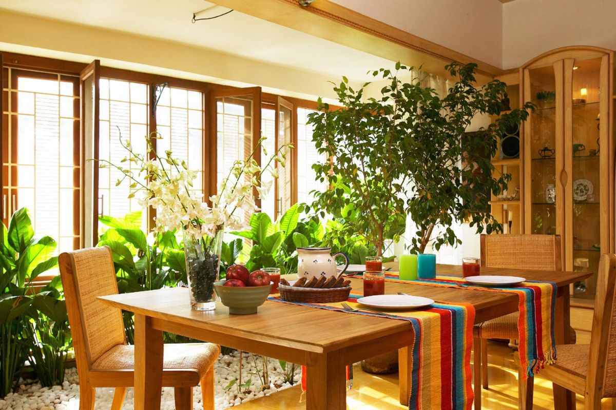 Gardens and plants in and out of the house