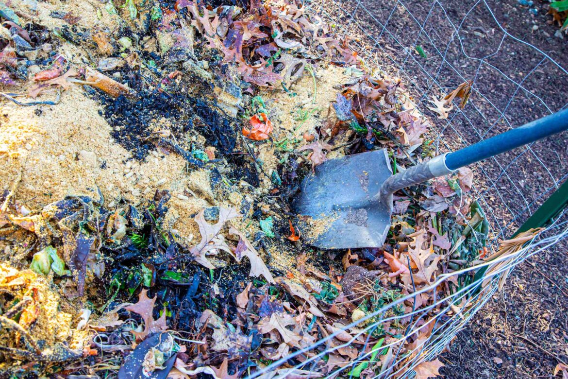 The One Winter Composting Mistake That Turns ‘Black Gold’ into Garbage
