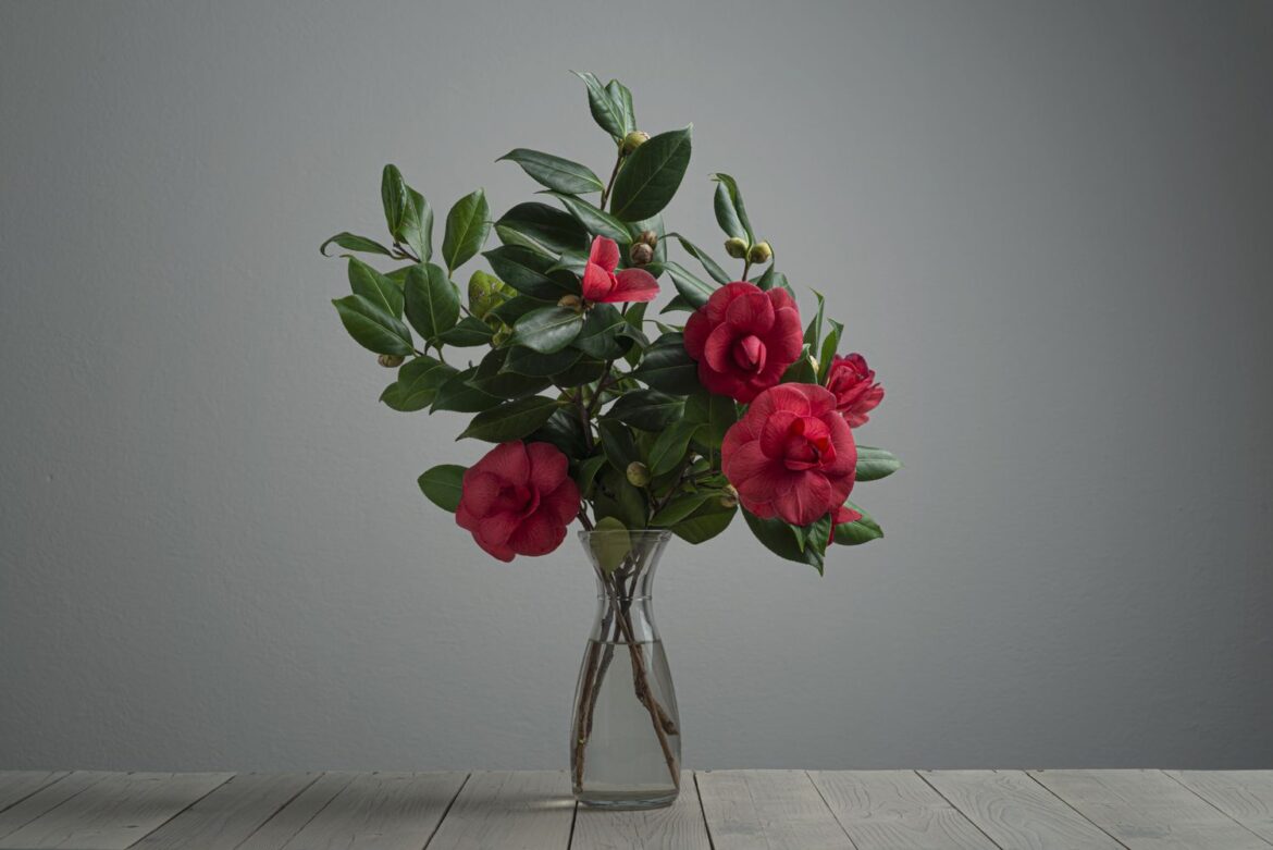 The Most Romantic Valentine’s Flower Isn’t A Rose, According To Southern Gardeners