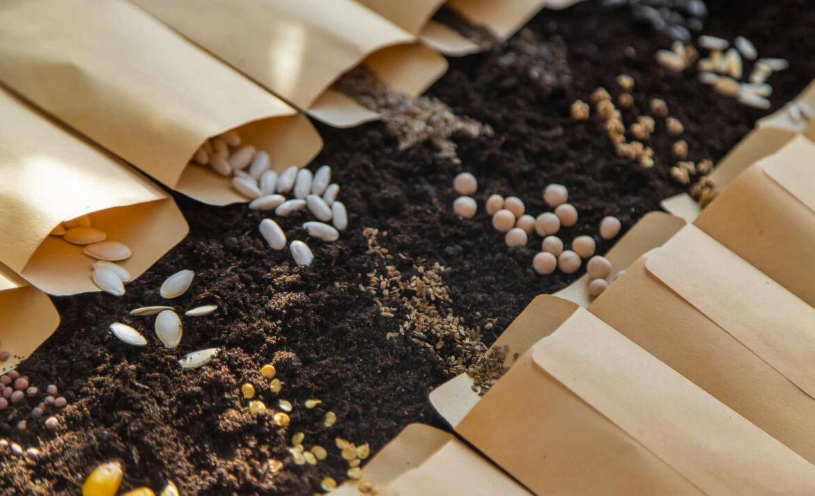 12 Plants Gardening Pros Say You Shouldn’t Start From Seed