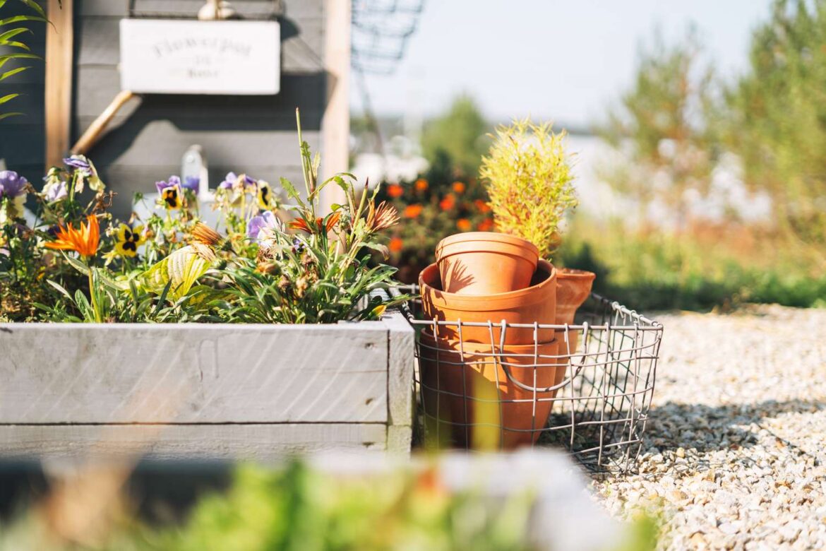 6 Garden Trends To Skip In 2026