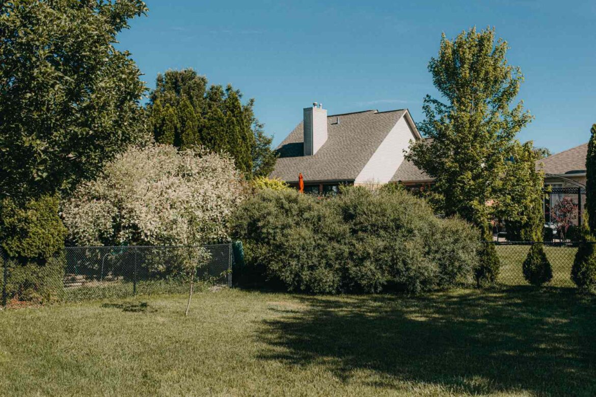 Can You Cut a Neighbor's Tree Roots in Your Yard? Experts Explain