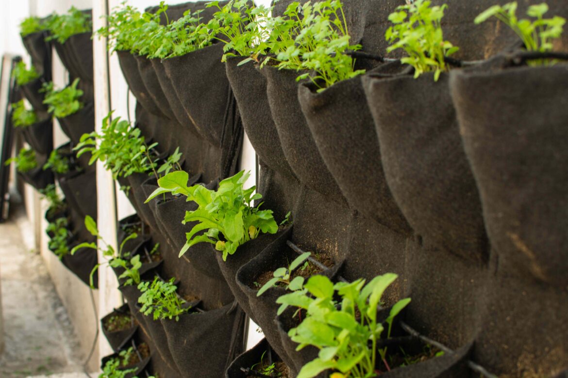 Everyone Is Trying This Space-Saving Gardening Technique in 2026, Pros Say