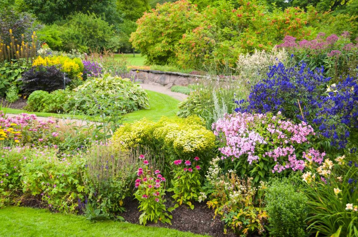 How to Prepare Garden Beds in Late Winter for a Lush Spring How to Prepare Garden Beds in Late Winter for a Lush Spring