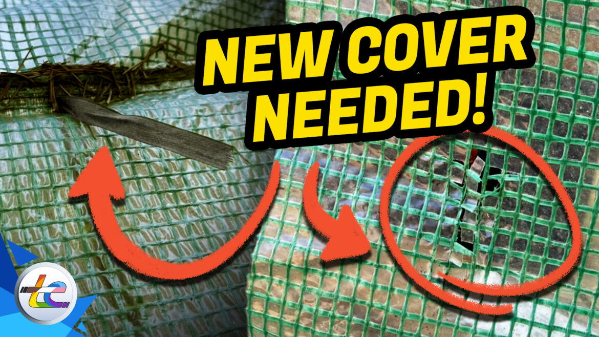 Transport Evolved Chicken And Garden Update: Replacement Greenhouse Cover is ORDERED!