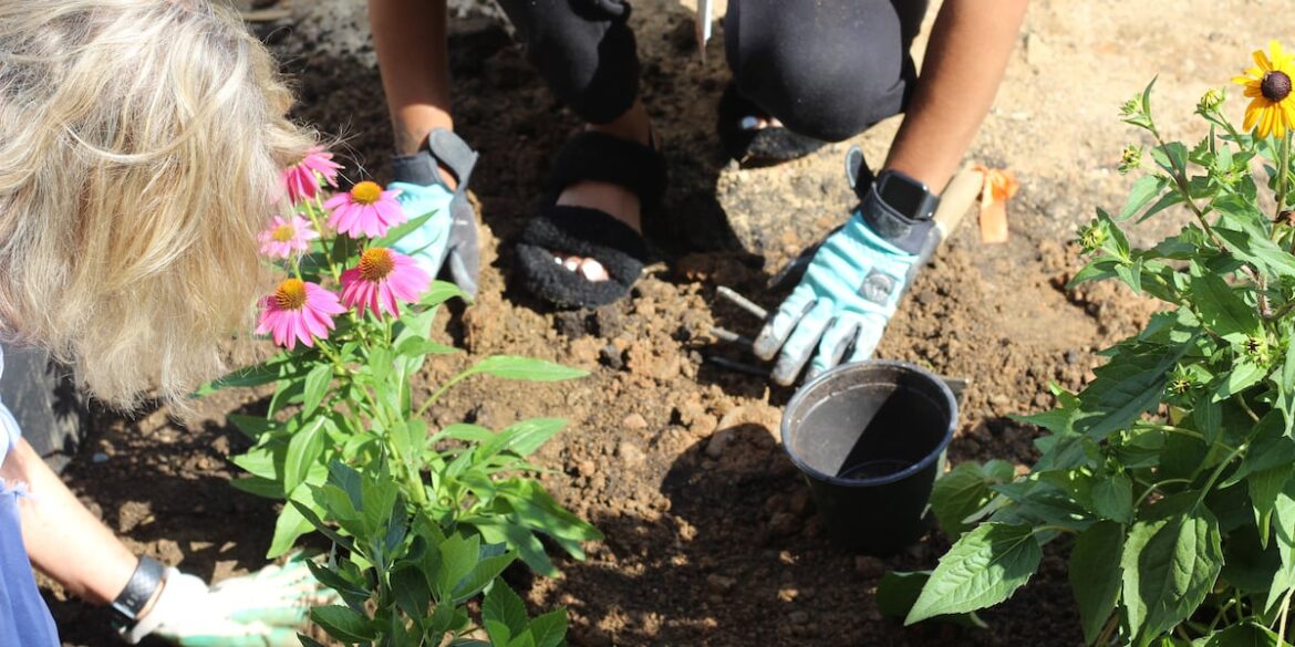 Piedmont Master Gardeners are using grants to encourage young gardeners