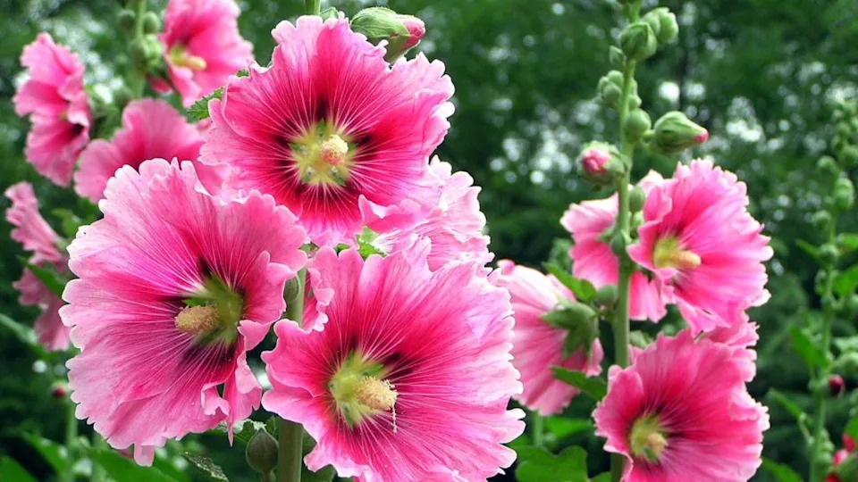 Image Credit: Deposit Photos