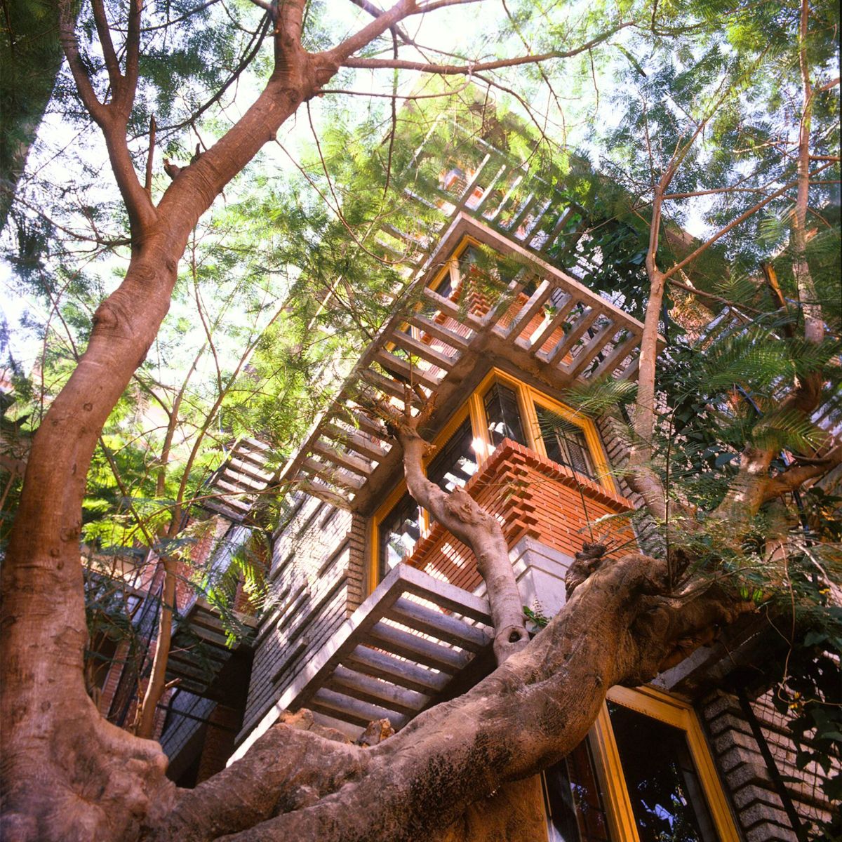 House in between nature and trees