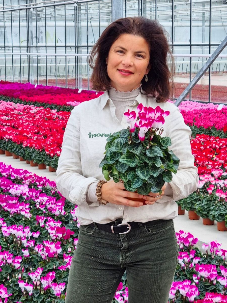 Héloïse Morel with Cyclamen