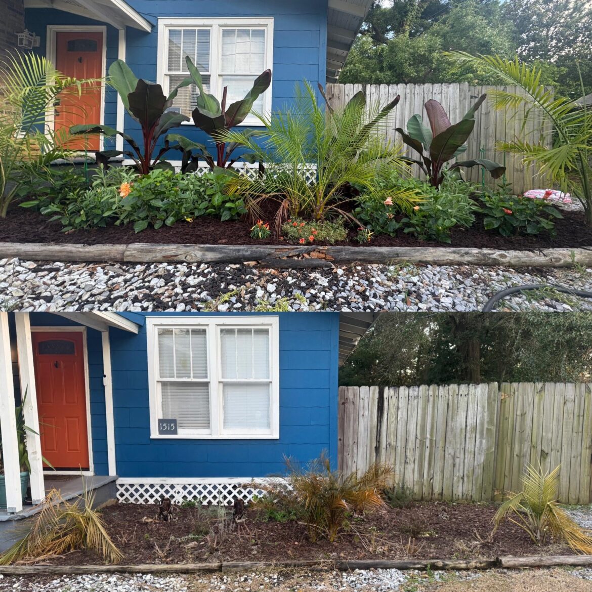 I love in north florida and my whole garden died in the freeze. 🥺