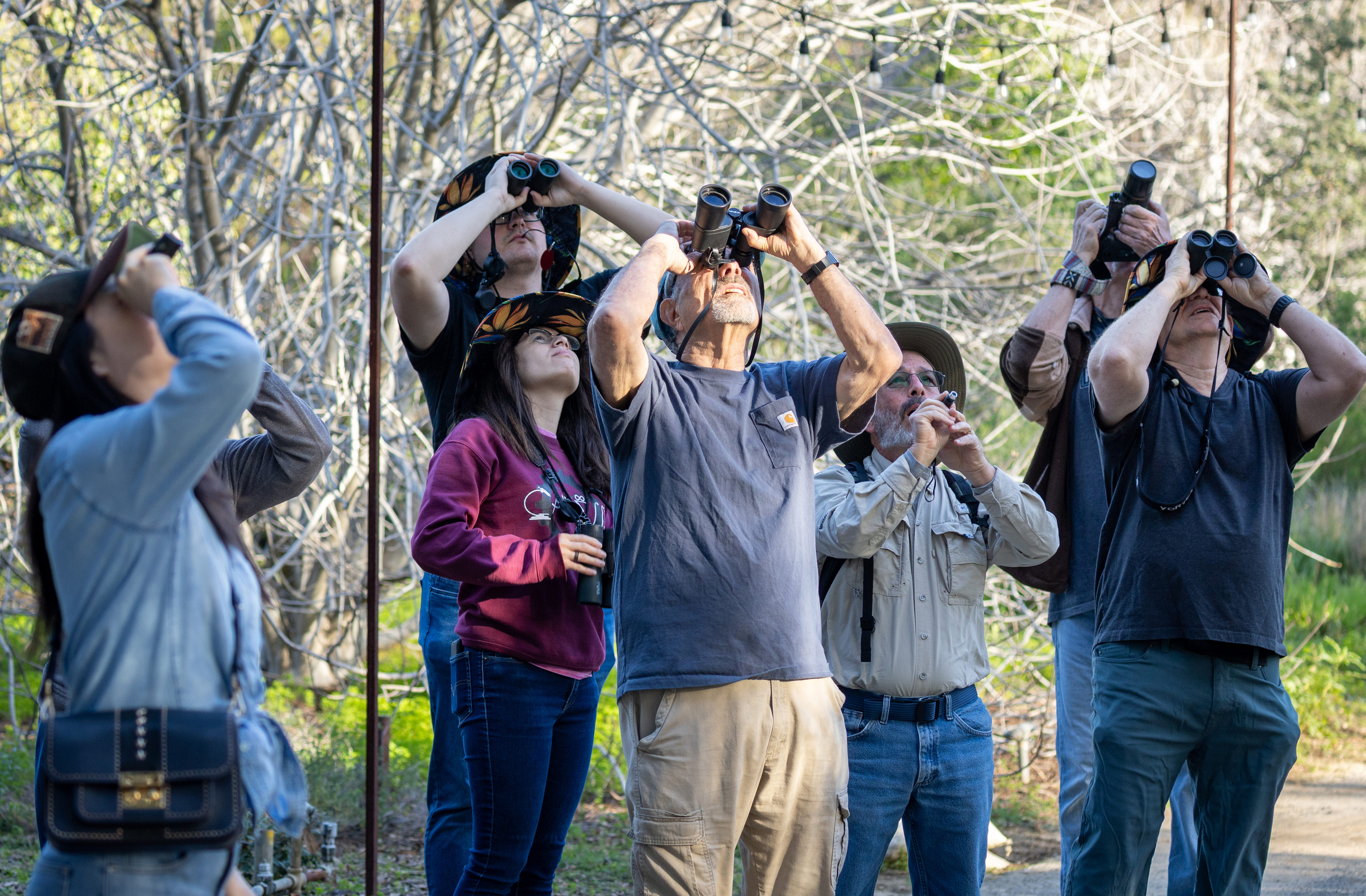 People look up at a bird in a tree on...