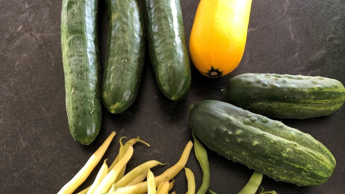 How to prepare your summer vege garden now for autumn and winter crops – Gareth Carter